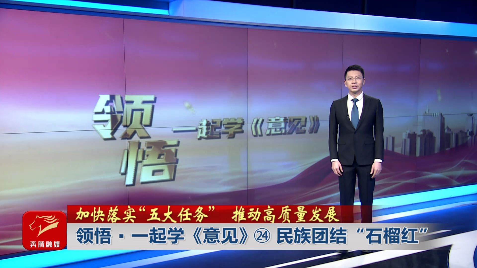 加快落实“五大任务” 推动高质量发展丨 领悟·一起学《意见》㉔ 民族团结“石榴红”