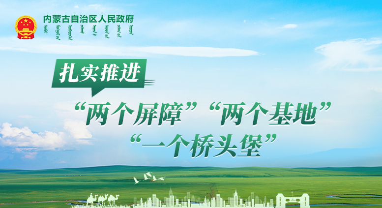 扎实推进“两个屏障”、“两个基地”、“一个桥头堡”